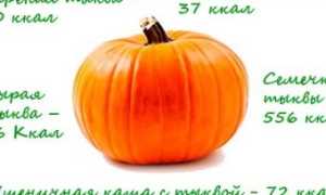 Тыква рецепты: 7 рецептов блюд на второе быстро и вкусно