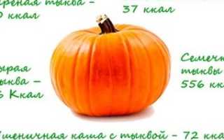 Тыква рецепты: 7 рецептов блюд на второе быстро и вкусно