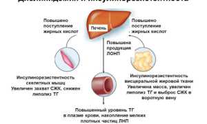 Медленные и быстрые белки. список продуктов. какие белки употреблять