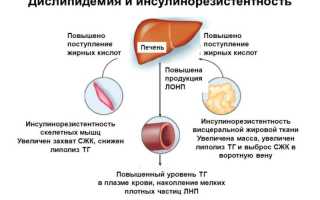 Медленные и быстрые белки. список продуктов. какие белки употреблять
