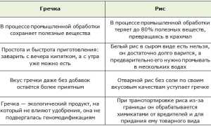 С чем есть гречневую кашу: топ-8 простых и вкусных рецептов