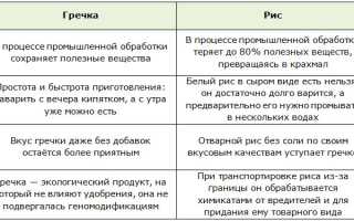 С чем есть гречневую кашу: топ-8 простых и вкусных рецептов