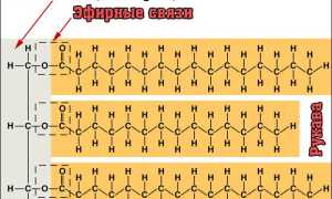 Полиненасыщен­ные жирные кислоты