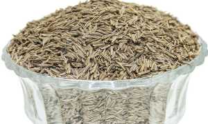 Приправа зира, как ее правильно применять, в какие блюда добавлять. химический состав и полезные свойства специи