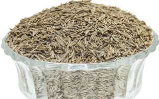 Приправа зира, как ее правильно применять, в какие блюда добавлять. химический состав и полезные свойства специи