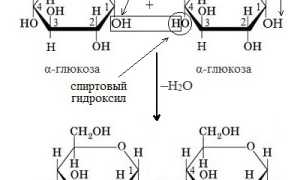 Мальтоза