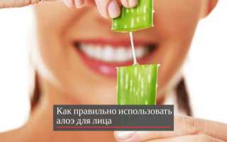 Как хранить алоэ?