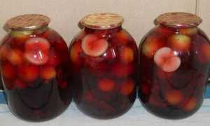 Рецепт приготовления вкусного компота из ягод на зиму