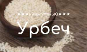 Урбеч из арахиса польза и вред как принимать