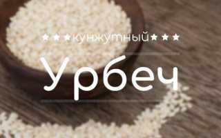 Урбеч из арахиса польза и вред как принимать