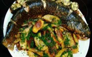 Как вкусно приготовить кефаль