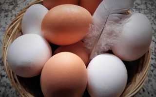 Продукты полезные для кожи (24.01.2020)
