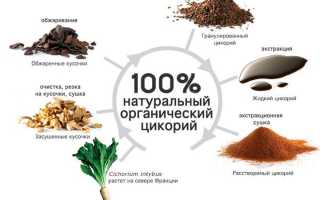 Лечебные свойства цикория обыкновенного и фото
