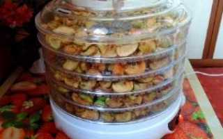 Как эффективнее сушить в ezidri фрукты, овощи, ягоды