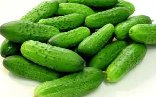 Овощи. список полезных и вкусных продуктов