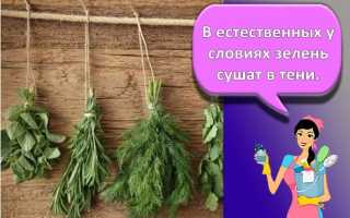 Как дольше сохранить в холодильнике: укроп, петрушку, салат, рукколу, шпинат и остальное