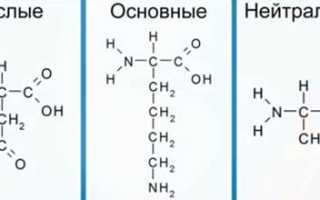 В каких продуктах самое большое содержание аминокислот
