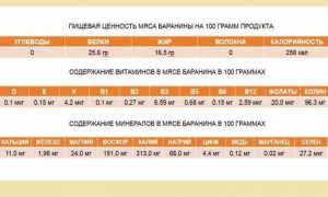 Чем полезно мясо, свойства, состав, калорийность, норма в день
