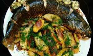 Как вкусно приготовить кефаль