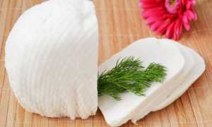 Вся польза в брынзе: чем полюбился румынский сыр всему миру?