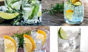 Как правильно пить джин: самые интересные способы и идеальная закуска