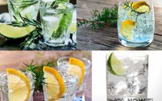 Как правильно пить джин: самые интересные способы и идеальная закуска