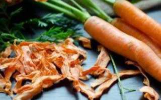 Чем хороша сухая морковь, как её правильно заготовить и куда применять