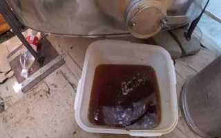 Хрен столовый польза и вред для организма человека