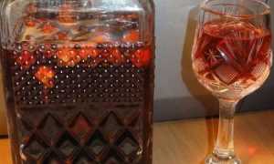 Рецепт приготовления настойки на мяте на водке (спирту, самогоне)