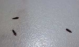 Правильные условия